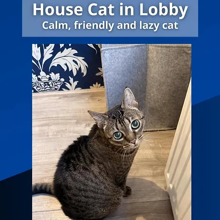 Hotell The Crown Amsterdam